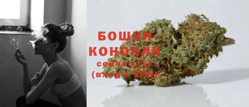 продажа наркотиков  Красноармейск  Шишки марихуана White Widow 